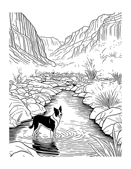 Coloring page Creek Wading: a line drawing of Archie the border collie from A Dog's Life in the Rockies