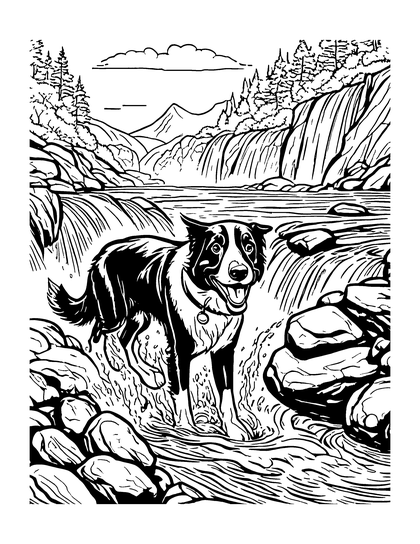 Coloring page Rushing Water: a line drawing of Archie the border collie from A Dog's Life in the Rockies
