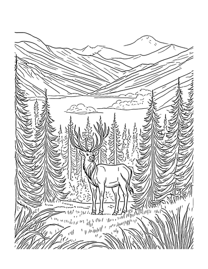 Page: Bull Elk