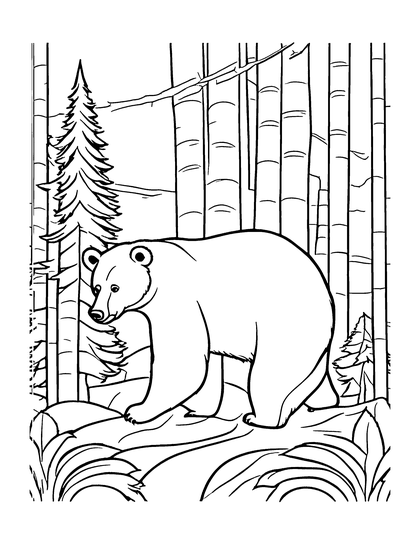 Page: Black Bear