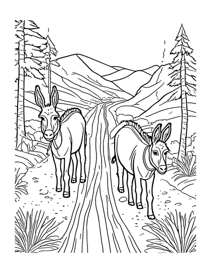 Coloring page Pack Burros: a line drawing from Colorado Critters & Adventures for kids