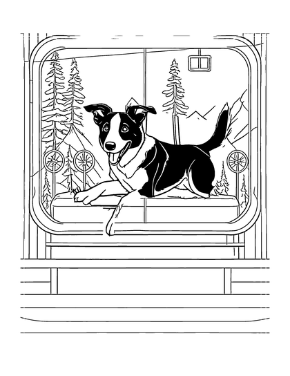 Page: Gondola Grin