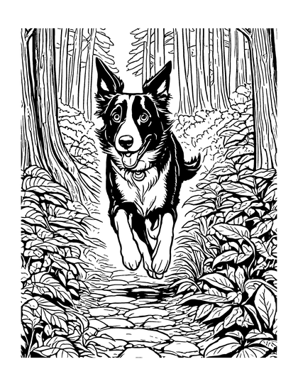 Coloring page Here I Come!: a line drawing of Archie the border collie from Archie's Big Adventures
