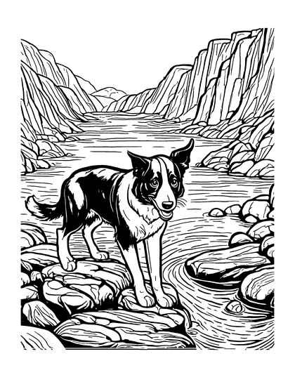 Coloring page Rushing Water: a line drawing of Archie the border collie from Archie's Big Adventures